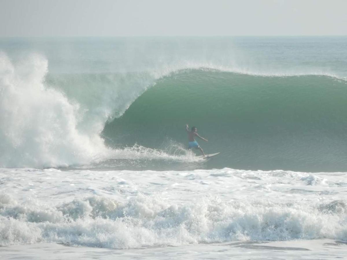 The Point Surfcamp Bali Hotel Pulukan Eksteriør billede